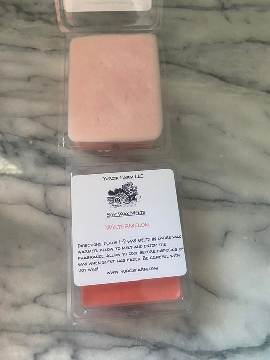 soy wax melts (watermelon)