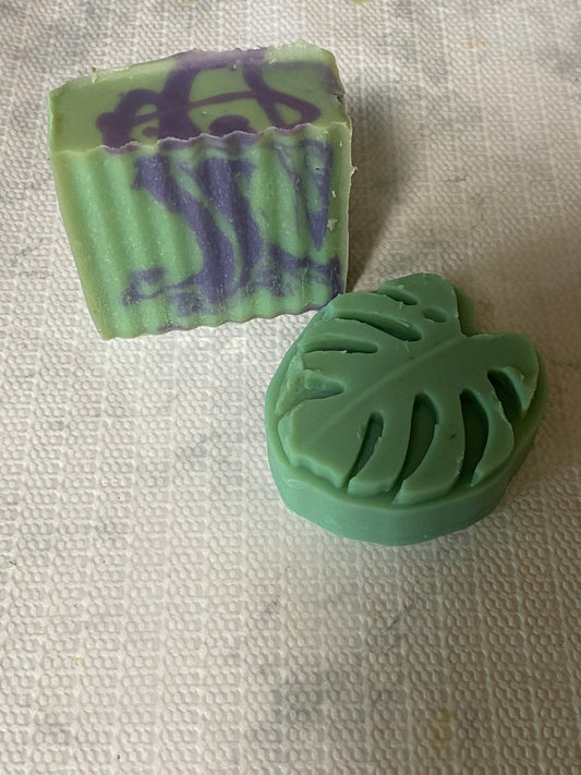 Goat milk soap and shampoo bar set